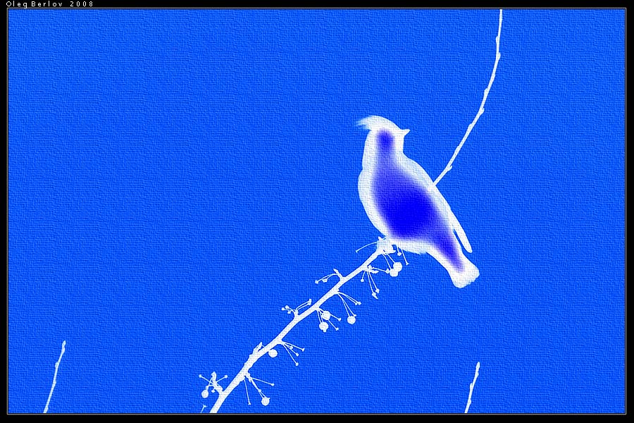 ������ ����������