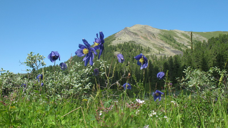 �������� � �������� �������