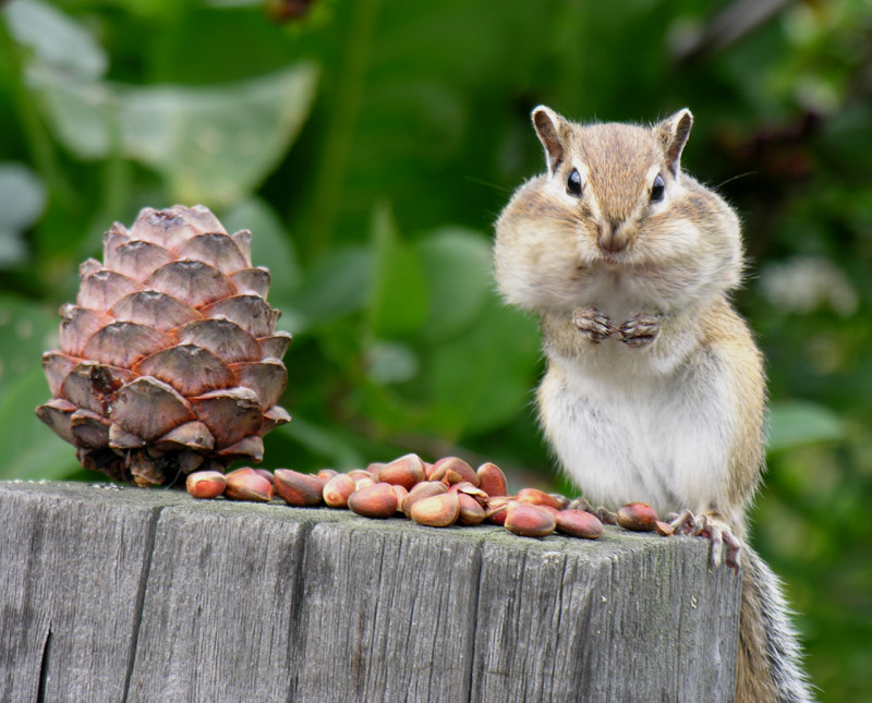 ׸ ��������? ��� �����...