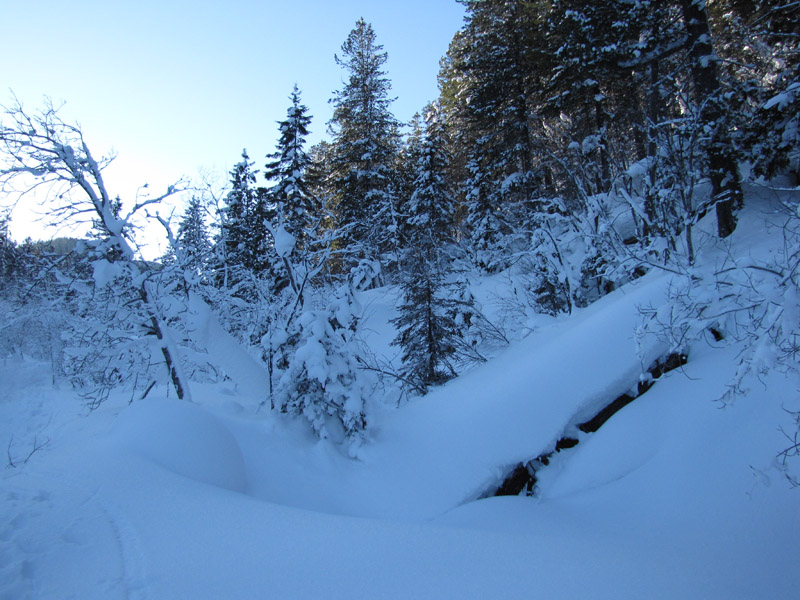 ���� ������ 2