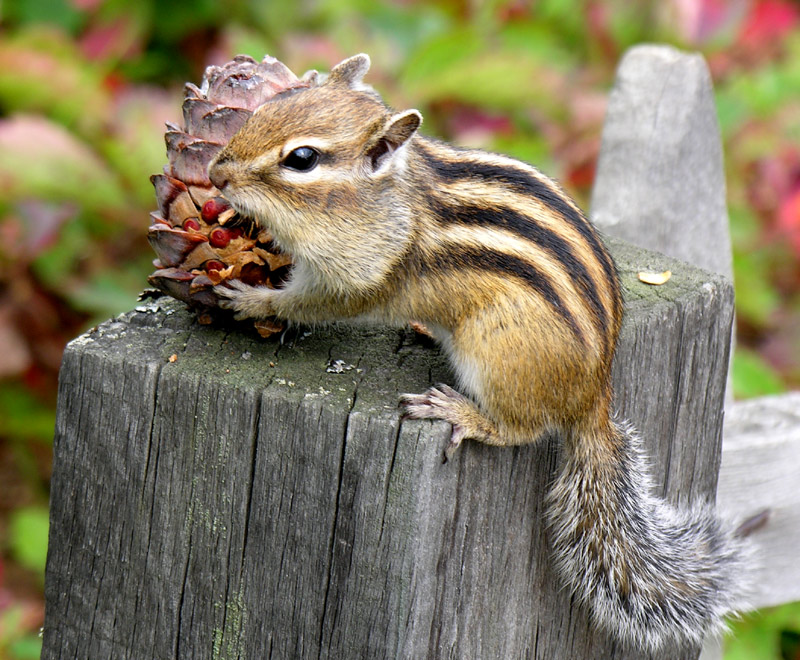 �� ���� �� ������... �� �����!!!