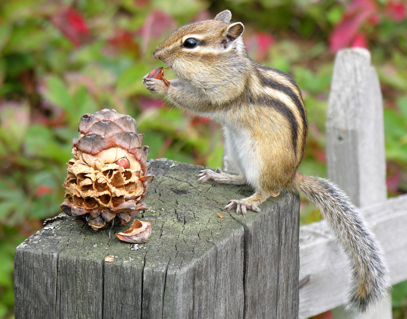 ��� ��� � ��...