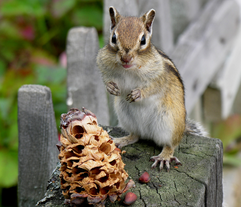 ���, � �� �����... ����� ���?