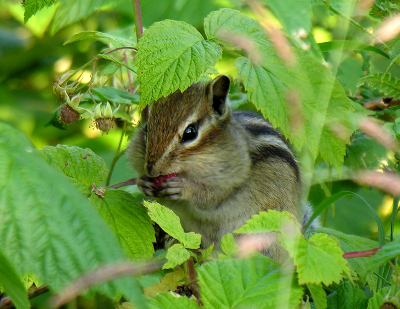 ���������� ������...