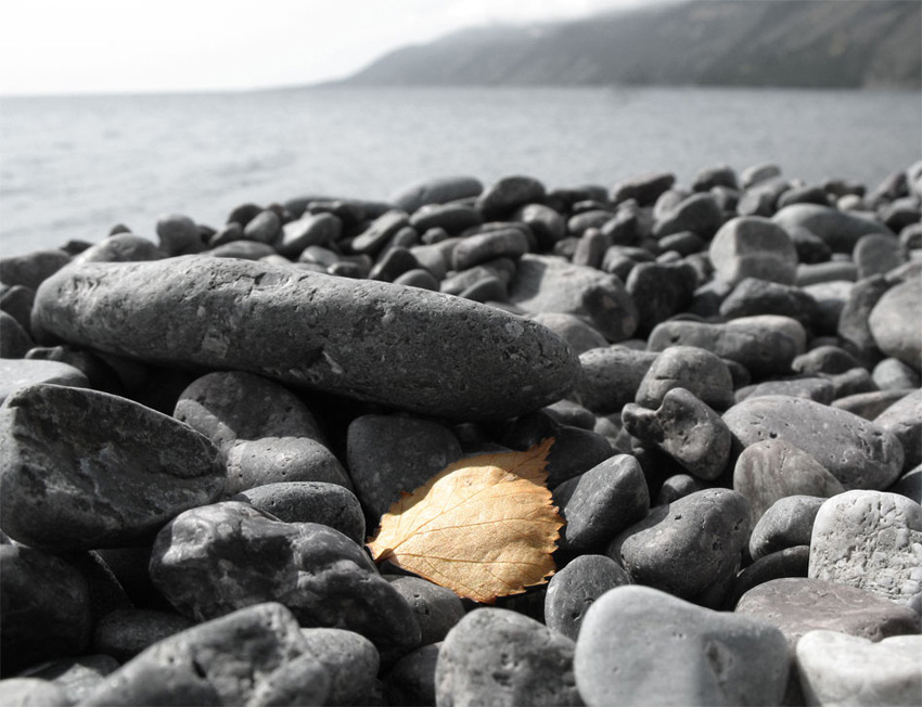 Forever Autumn