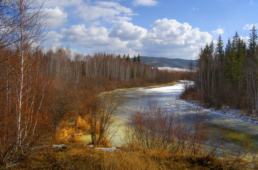 Акварель весны