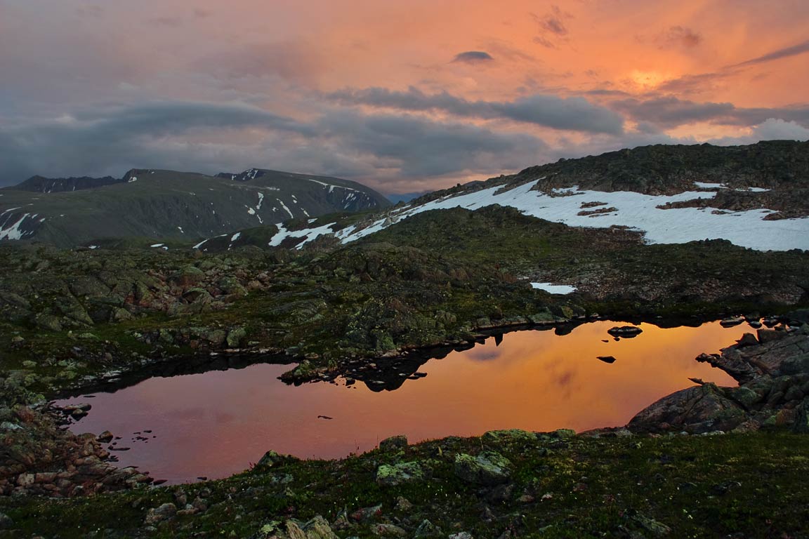 ������ ������