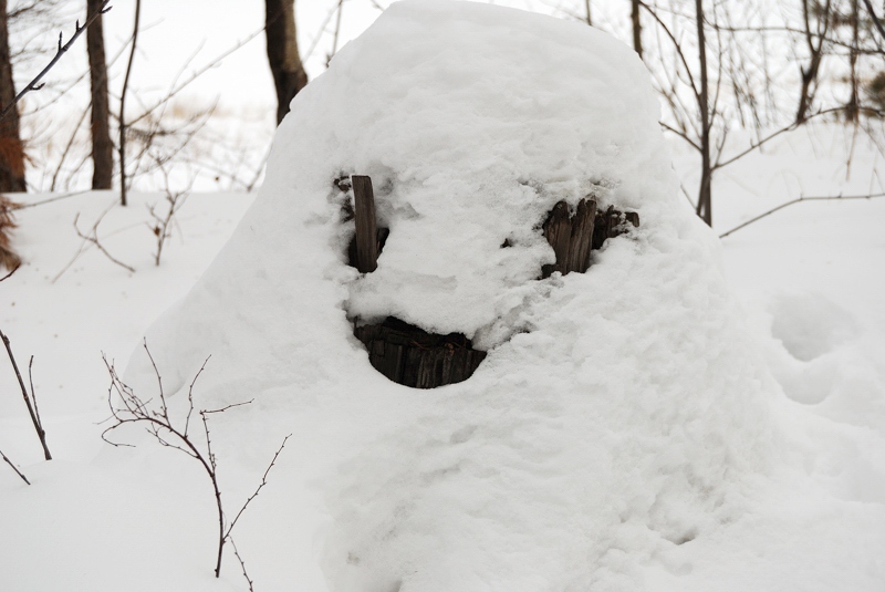 ���������, �� �����������.