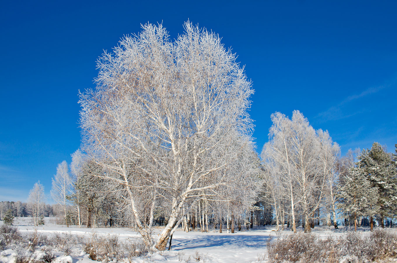 � ������ ������ - 2