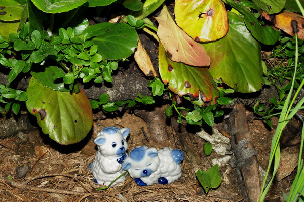 ��������� � ������ ���������