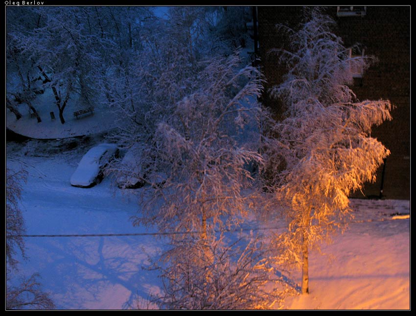 ���� ���������_2