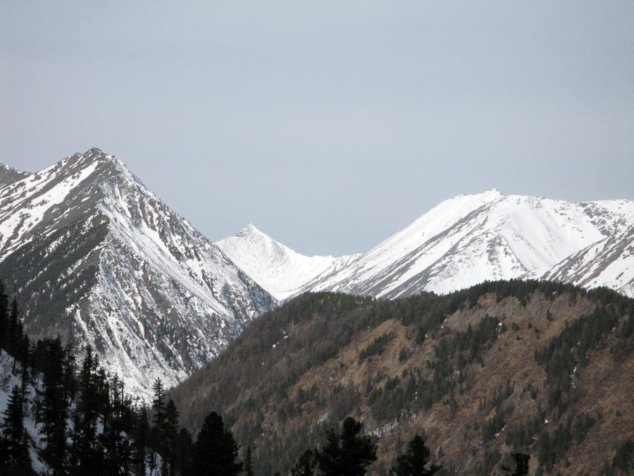        (1)