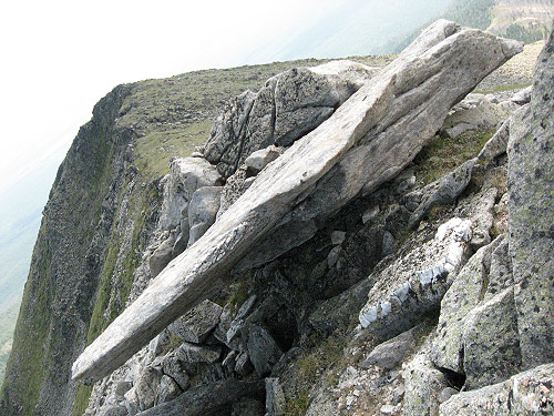 ������..