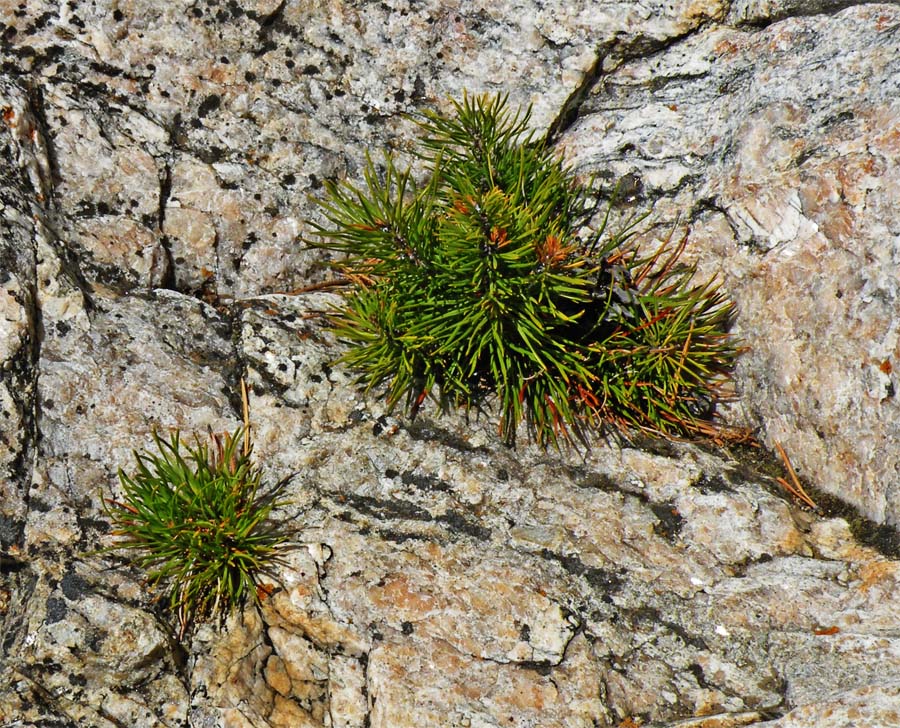 � �� ������ ������ �������