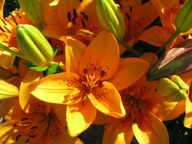 ����� - �����, ���������!