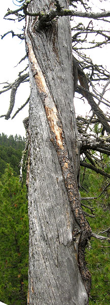 ����� ����������