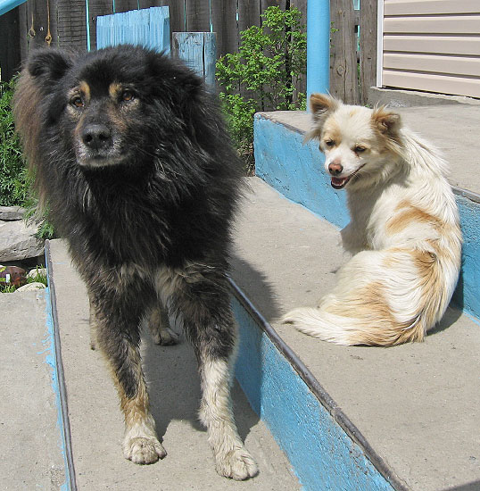 �������