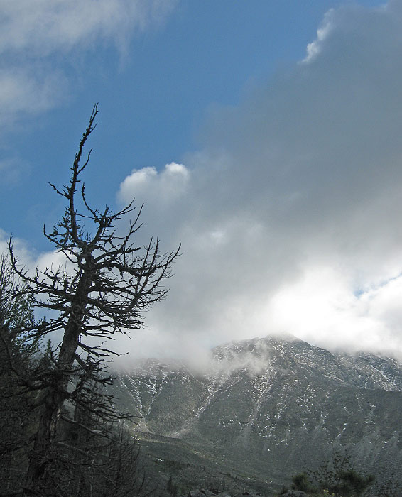 �� ����..