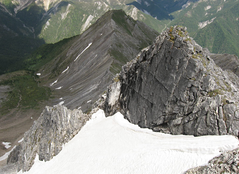 �� ���� ����!