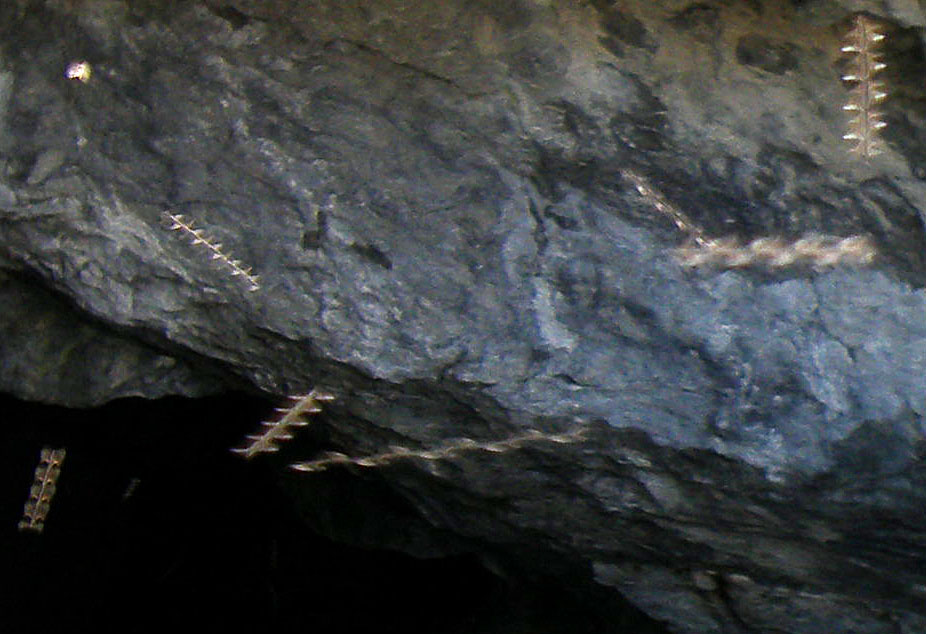 �������� ���(2)