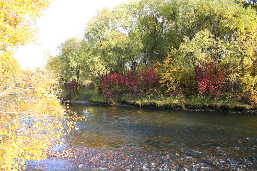 �� ���� ����� � ����� ������.