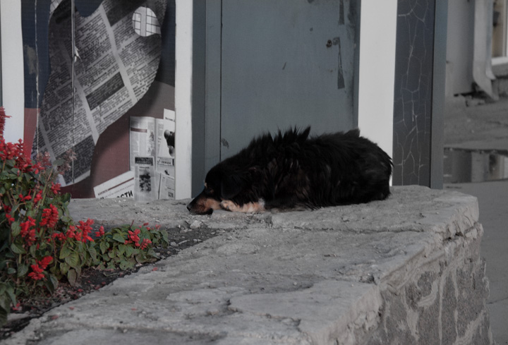 ��������� �����