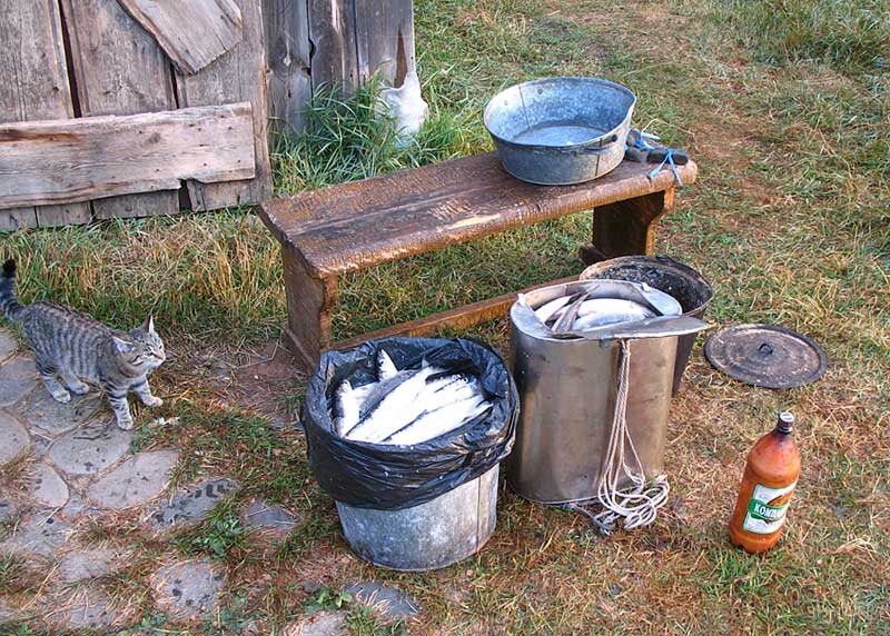 "��� �� ���?"