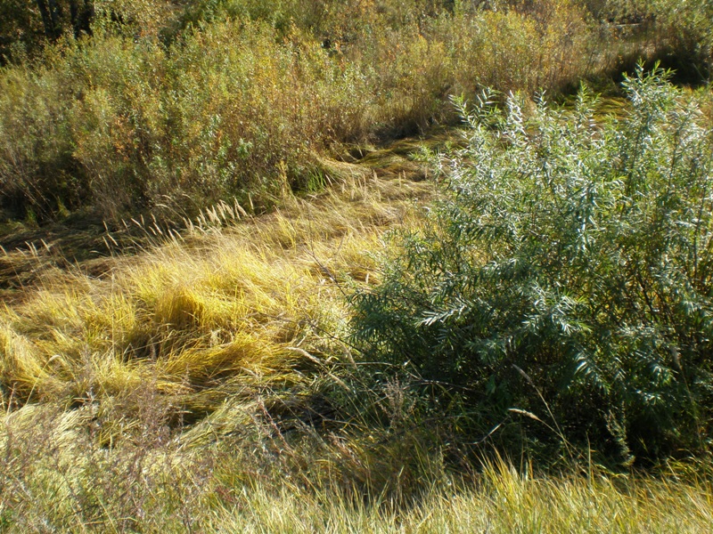 ��������� ��������