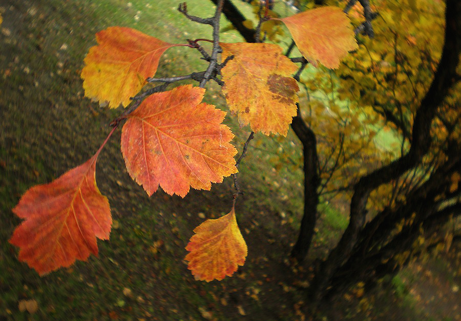 "... ����� ��� ������� �����-������..."