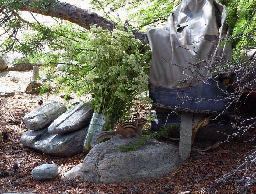 ���.. ��������� ���������..