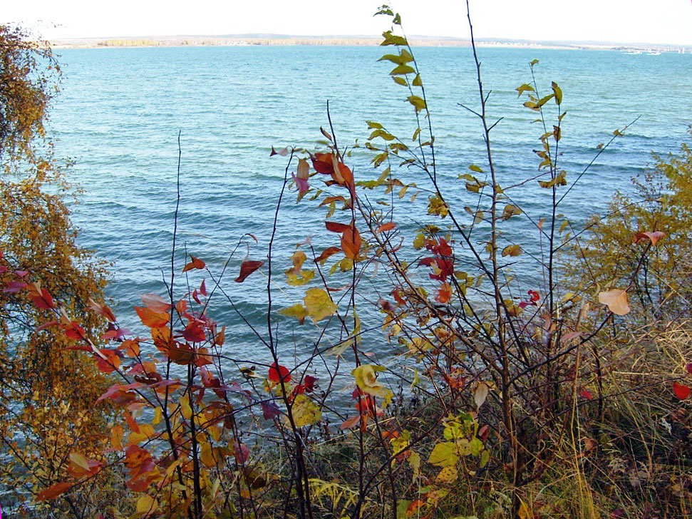 ������ �����