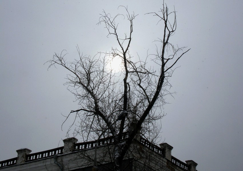 �� ����� ��� ������ 