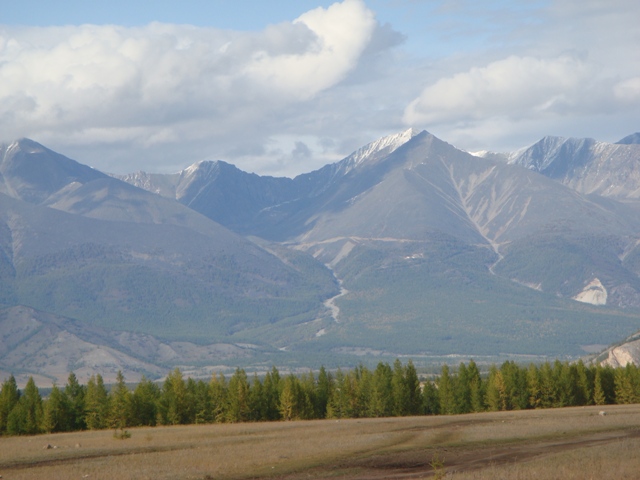 -2009