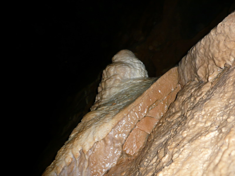145  ,  ,   