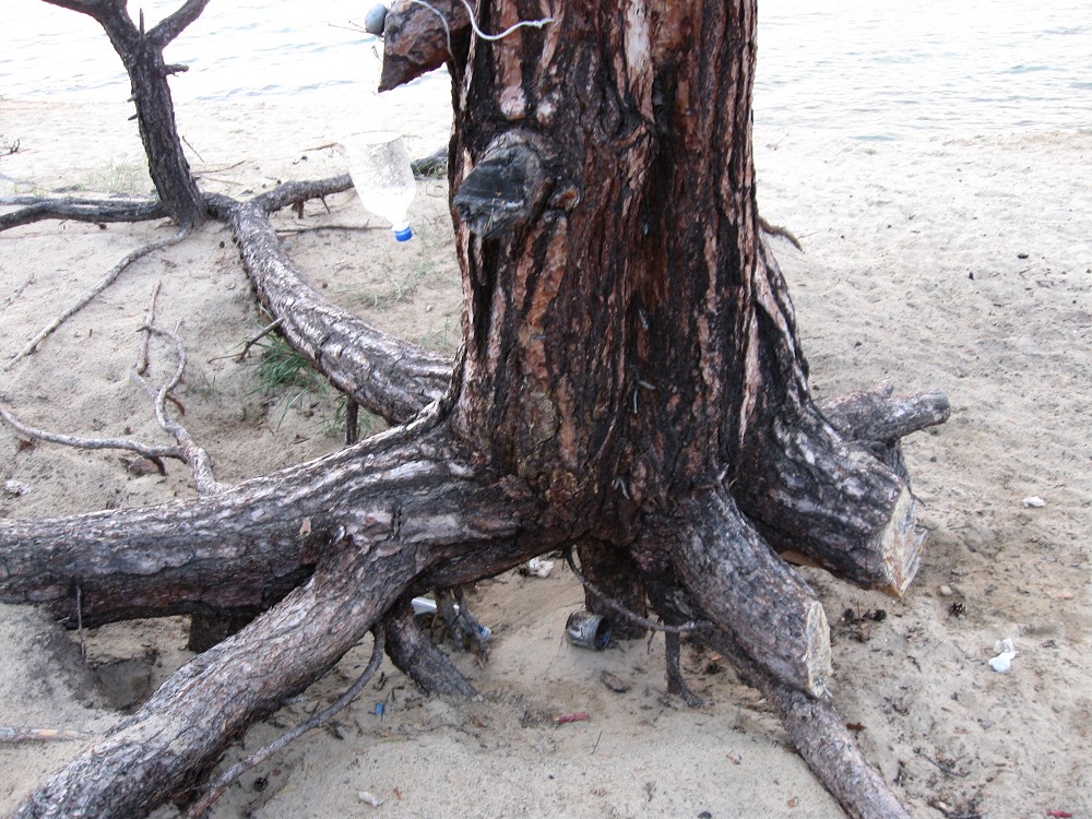 ������ �� ����� 2