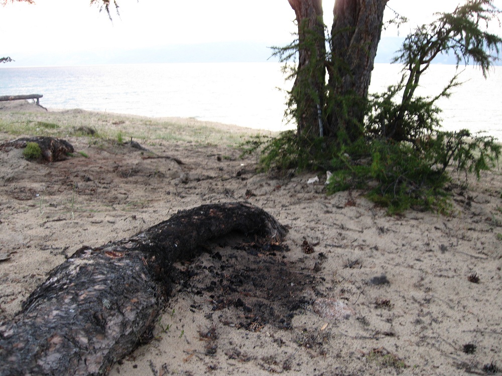 ����� �����