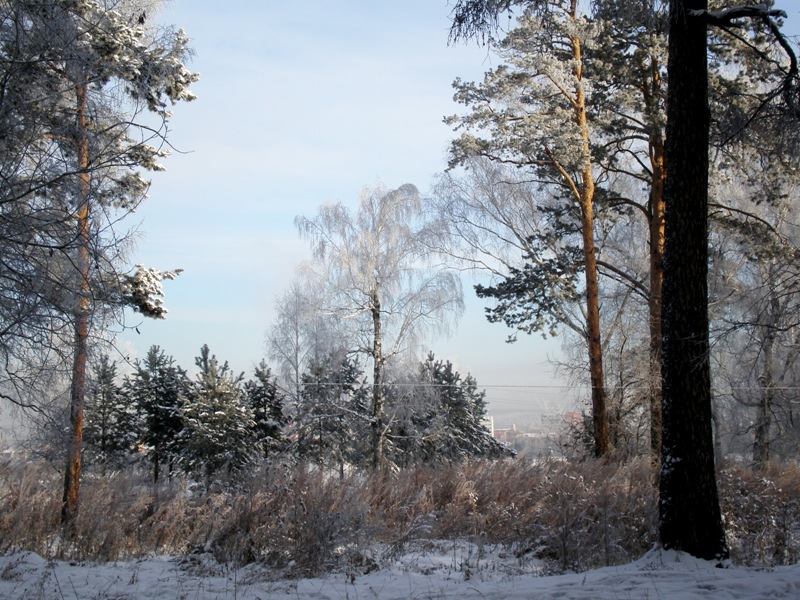 � �������