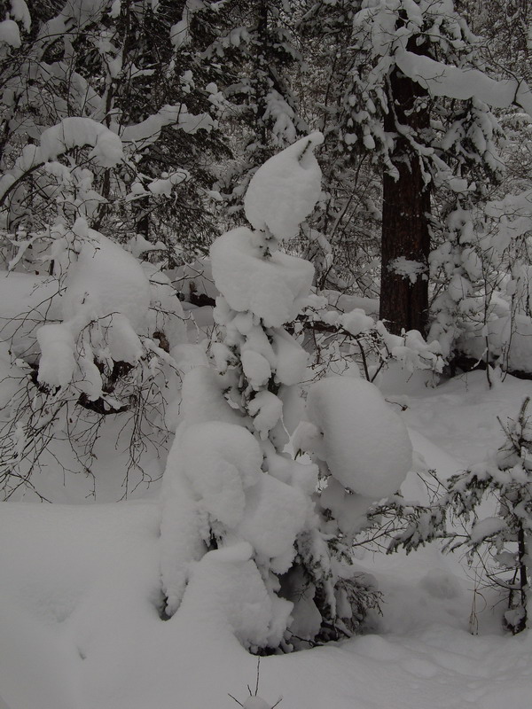 ������ ������ �����������.