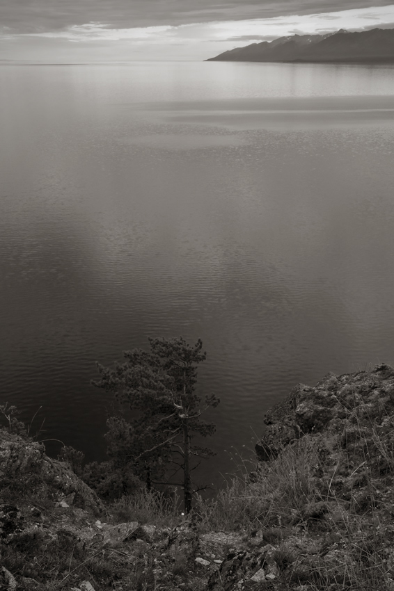 "Ein Fichtenbaum steht einsam" (. )