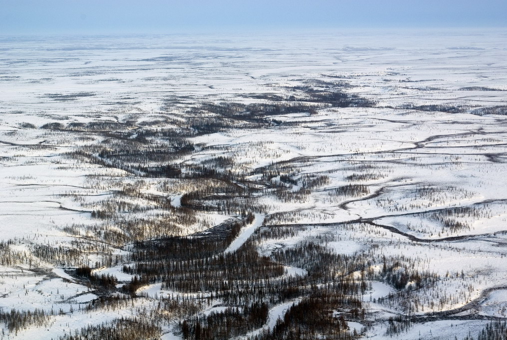 Разгар осени в тундре. р.Бол.Хета верховья.