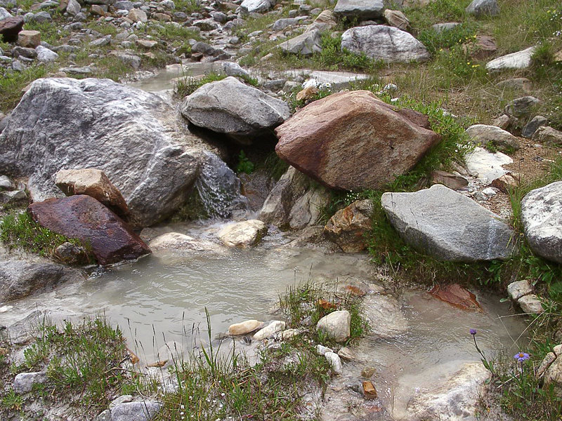 ����� �����