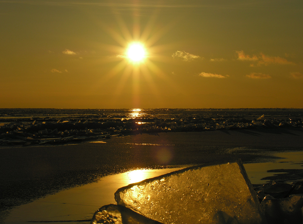 ������ ������..