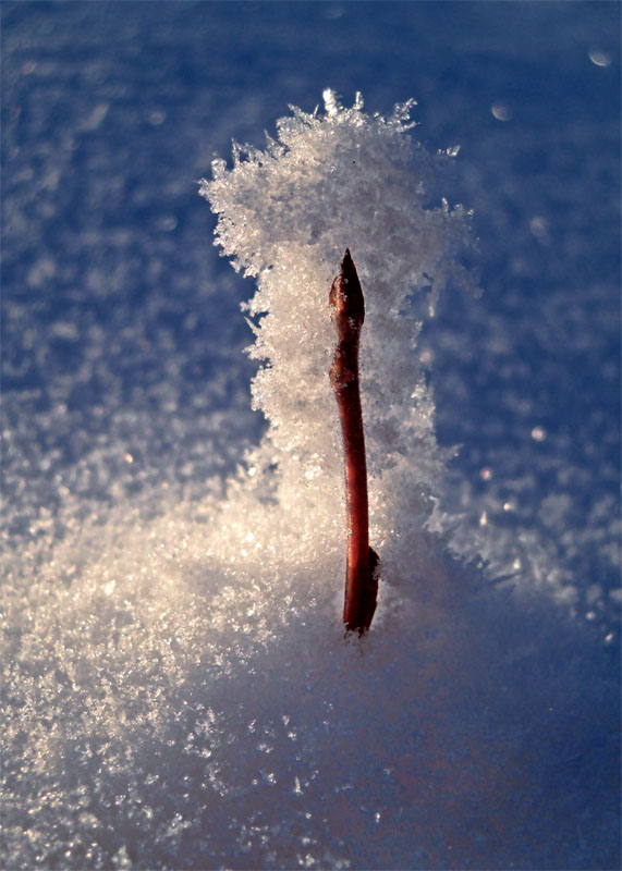 � ������� �� ������� ������ �����