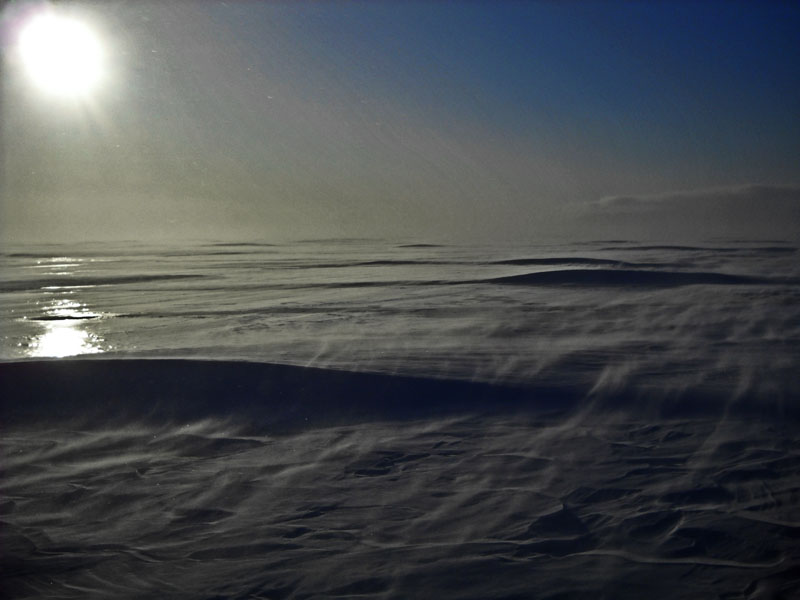 ������� ����� "���� �����!"