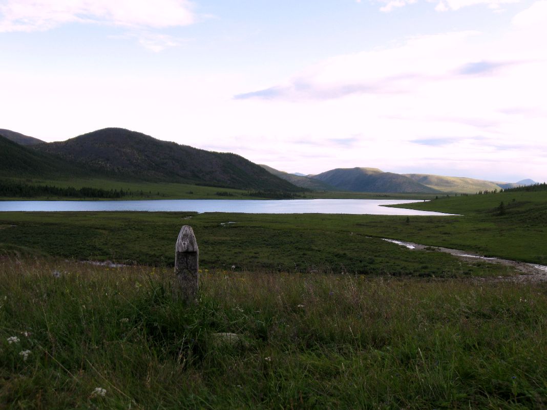 ������...