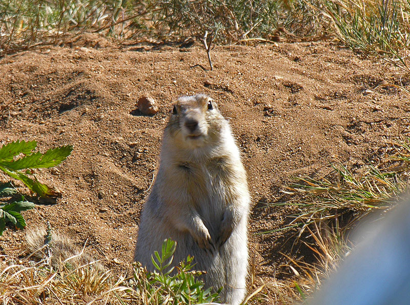 ������ ��� � �����!!!