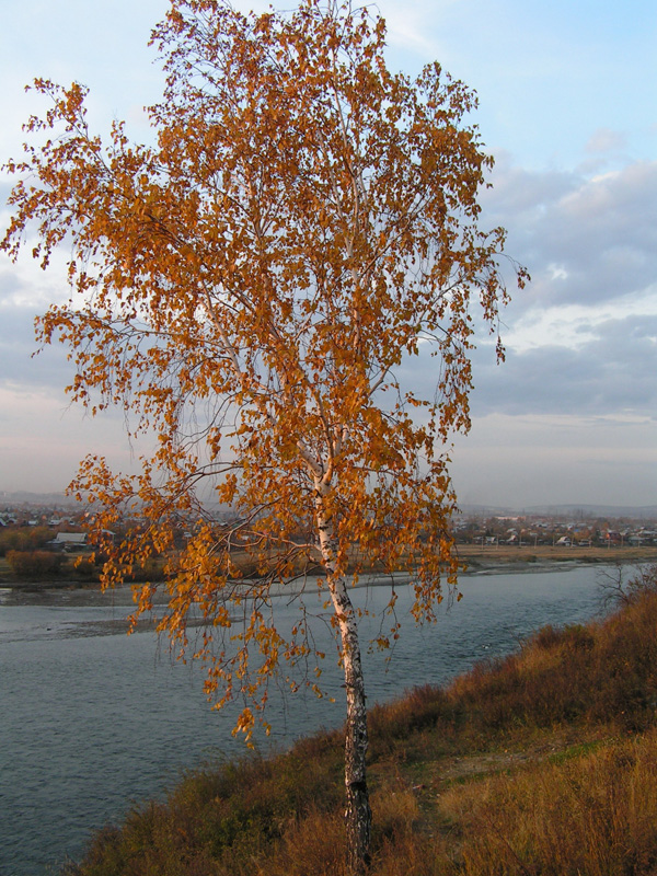Осень