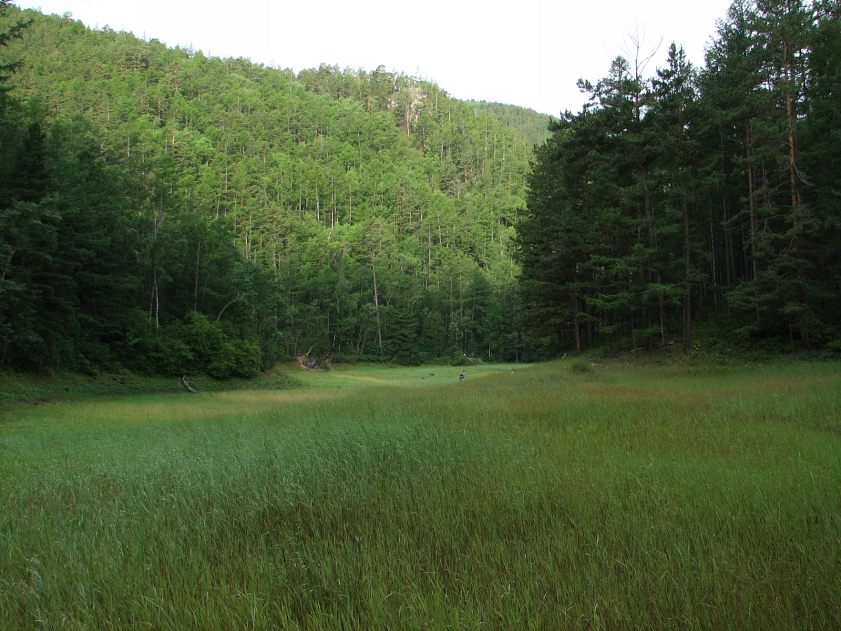  ,  2009