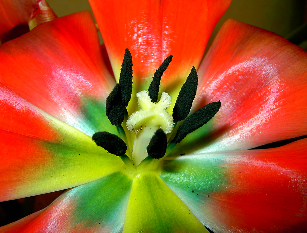 ���������� � 7 ������