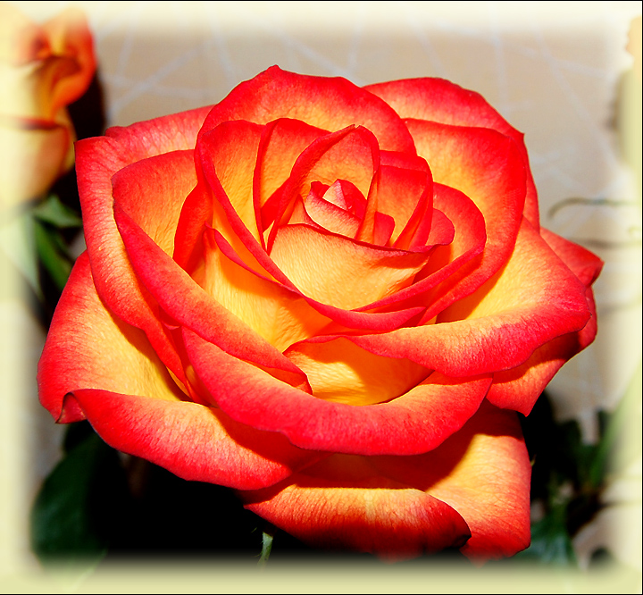 � ����������!